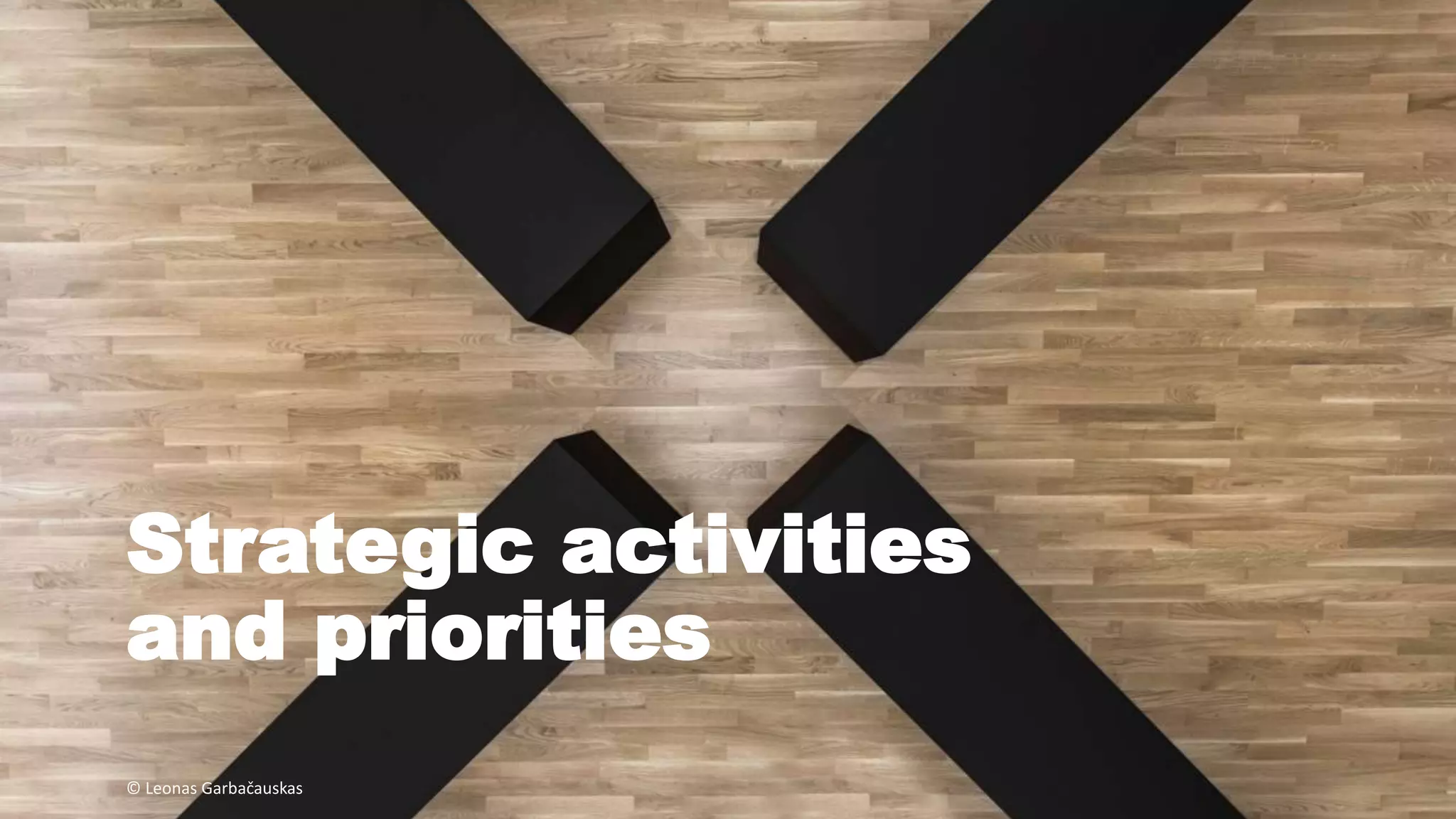 Strategic activities
and priorities
© Leonas Garbačauskas
 