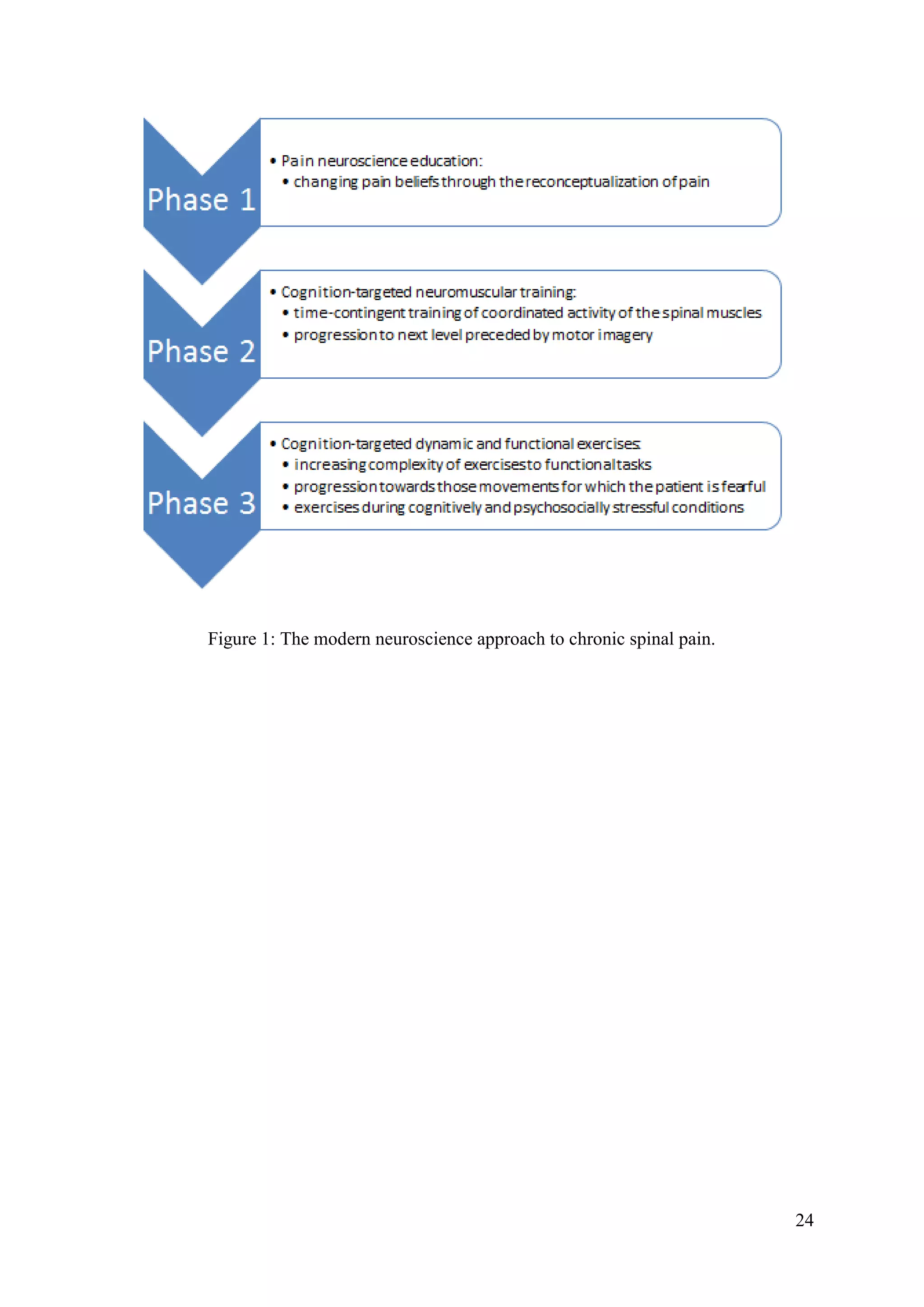 Figure 1: The modern neuroscience approach to chronic spinal pain.

24

 