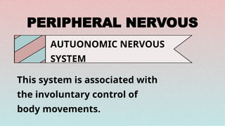 Modern Notes Physiology of Nervous System Slides.pptx