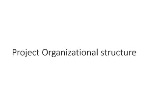 Project Organizational structure
 