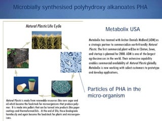Microbially synthesised polyhydroxy alkanoates PHA
Metabolix USA
Particles of PHA in the
micro-organism
 