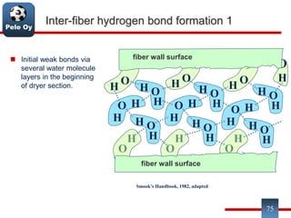 Pele Oy
75
Inter-fiber hydrogen bond formation 1
 Initial weak bonds via
several water molecule
layers in the beginning
of dryer section.
H
O
H
O
H
O
O
H
fiber wall surface
H O
H
OH
OH
HO
H
HO
H
HO
H
H O
H
H O
H
H
O
H O
H
H O
H
H O
H
fiber wall surface
Smook’s Handbook, 1982, adapted
 