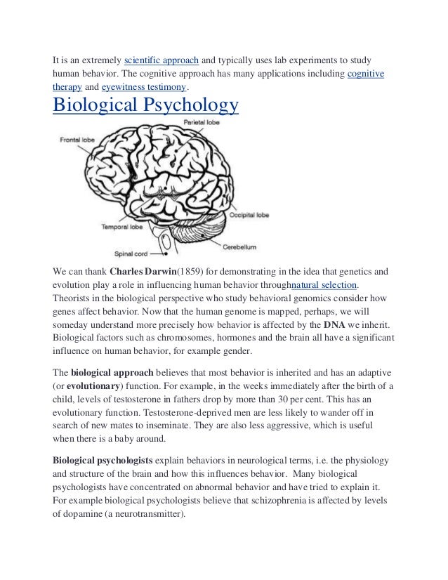 A Brief History of Modern Psychology