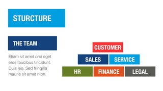 STURCTURE
HR FINANCE LEGAL
SALES SERVICE
CUSTOMER
Etiam sit amet orci eget
eros faucibus tincidunt.
Duis leo. Sed fringilla
mauris sit amet nibh.
THE TEAM
 