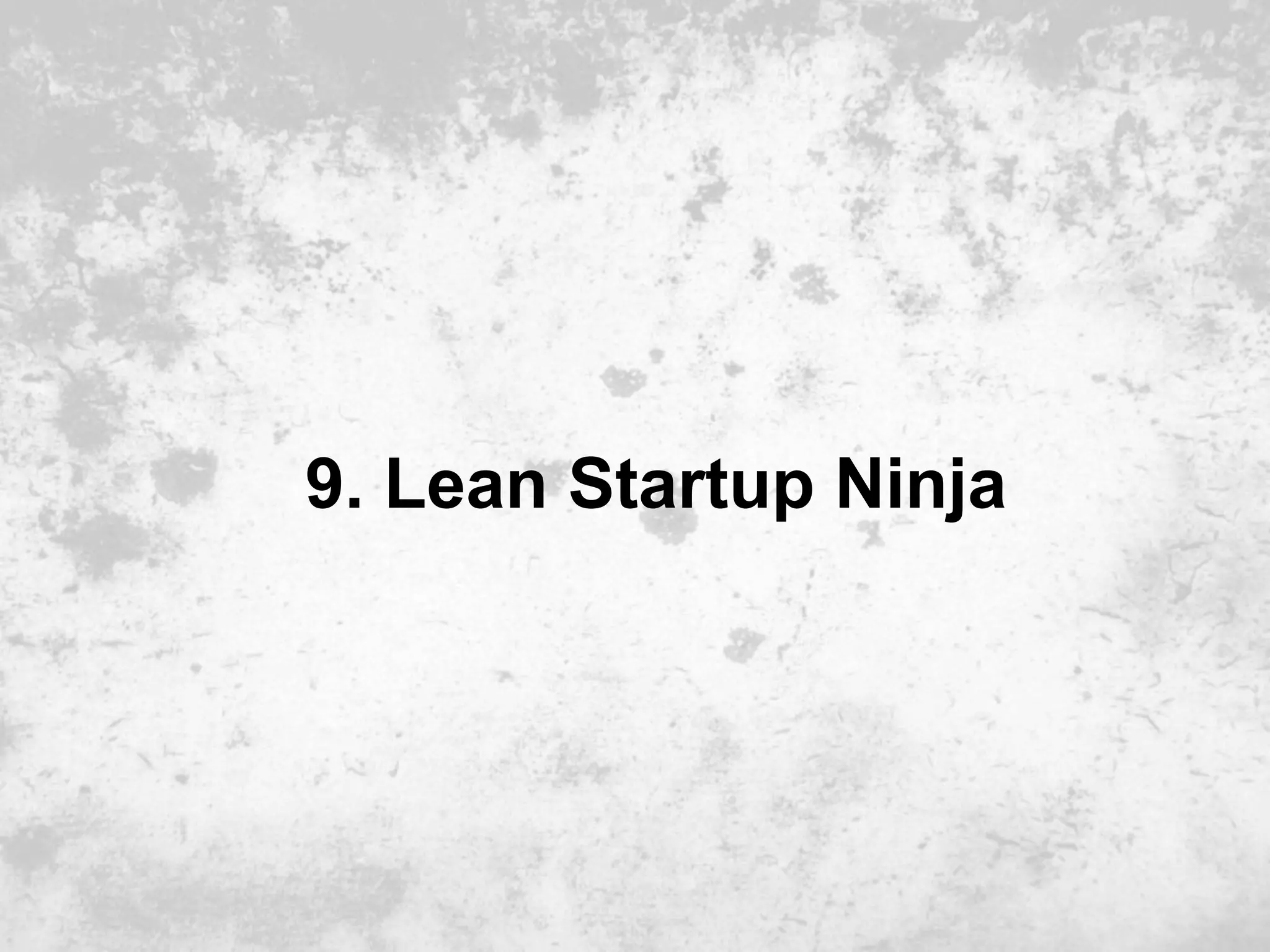 9. Lean Startup Ninja
 