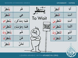 Modern Standard Arabic Verbs (Part 2)