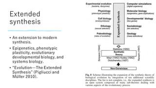 Modern Synthesis Involve modern synthertic theory of evolution(1).pdf