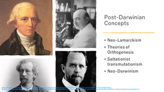 Transmutationism modern synthertic theory of evolution(1).pdf