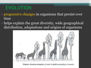 Modern synthetic theory of organic evolution shared by abdul qahar ...