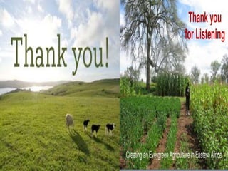 Modern techniques in agriculture