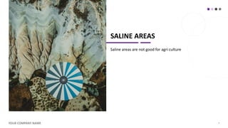 SALINE AREAS
Saline areas are not good for agri culture
YOUR COMPANY NAME 4
 