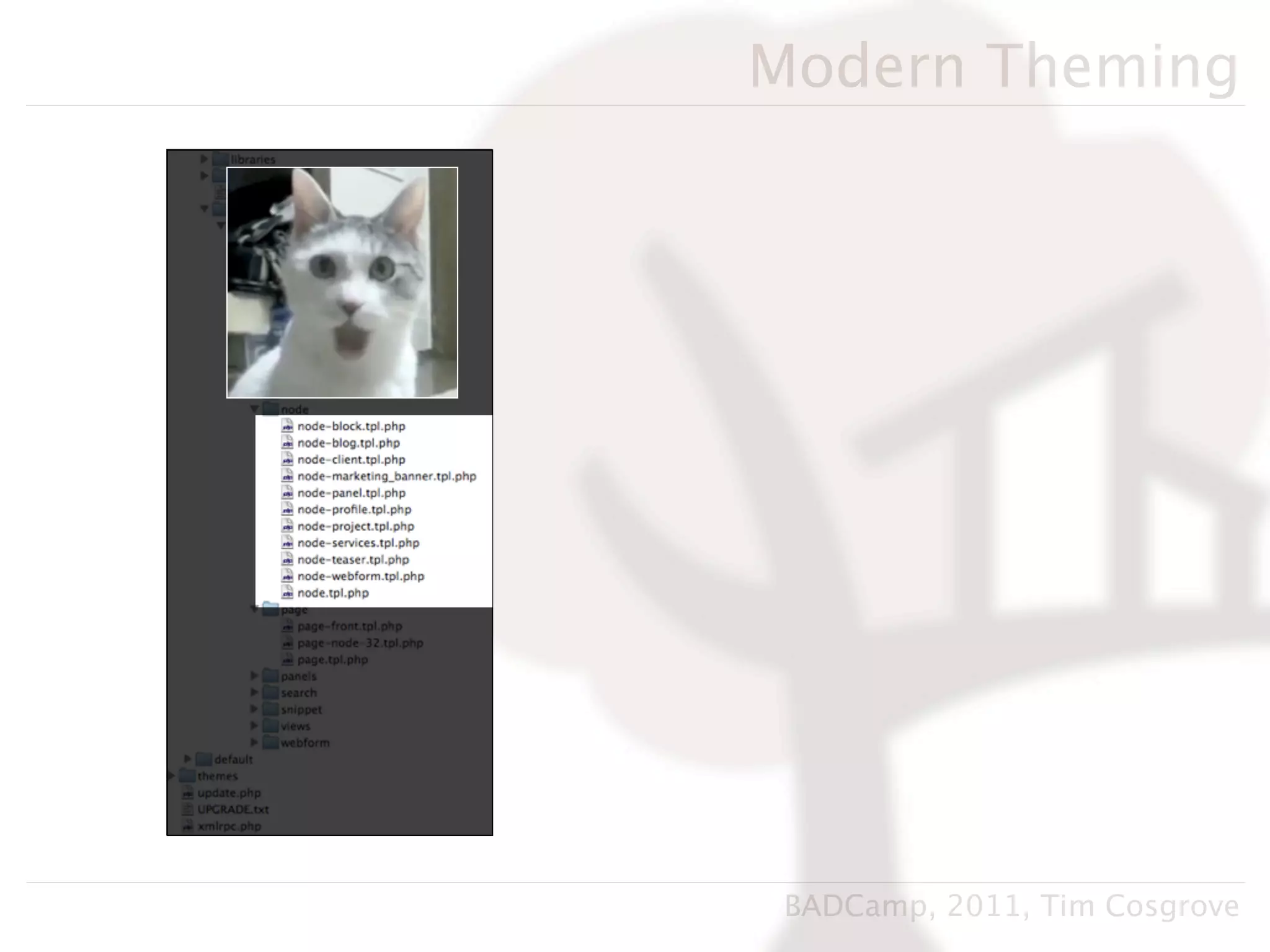 Modern Theming




 BADCamp, 2011, Tim Cosgrove
 