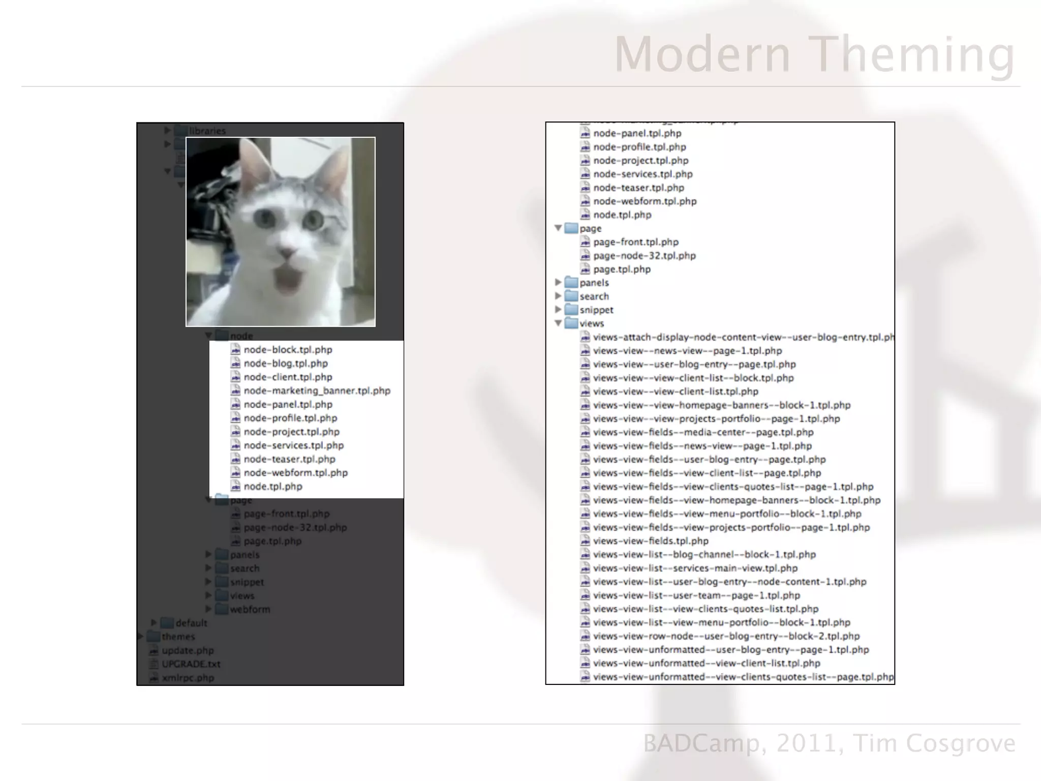 Modern Theming




 BADCamp, 2011, Tim Cosgrove
 