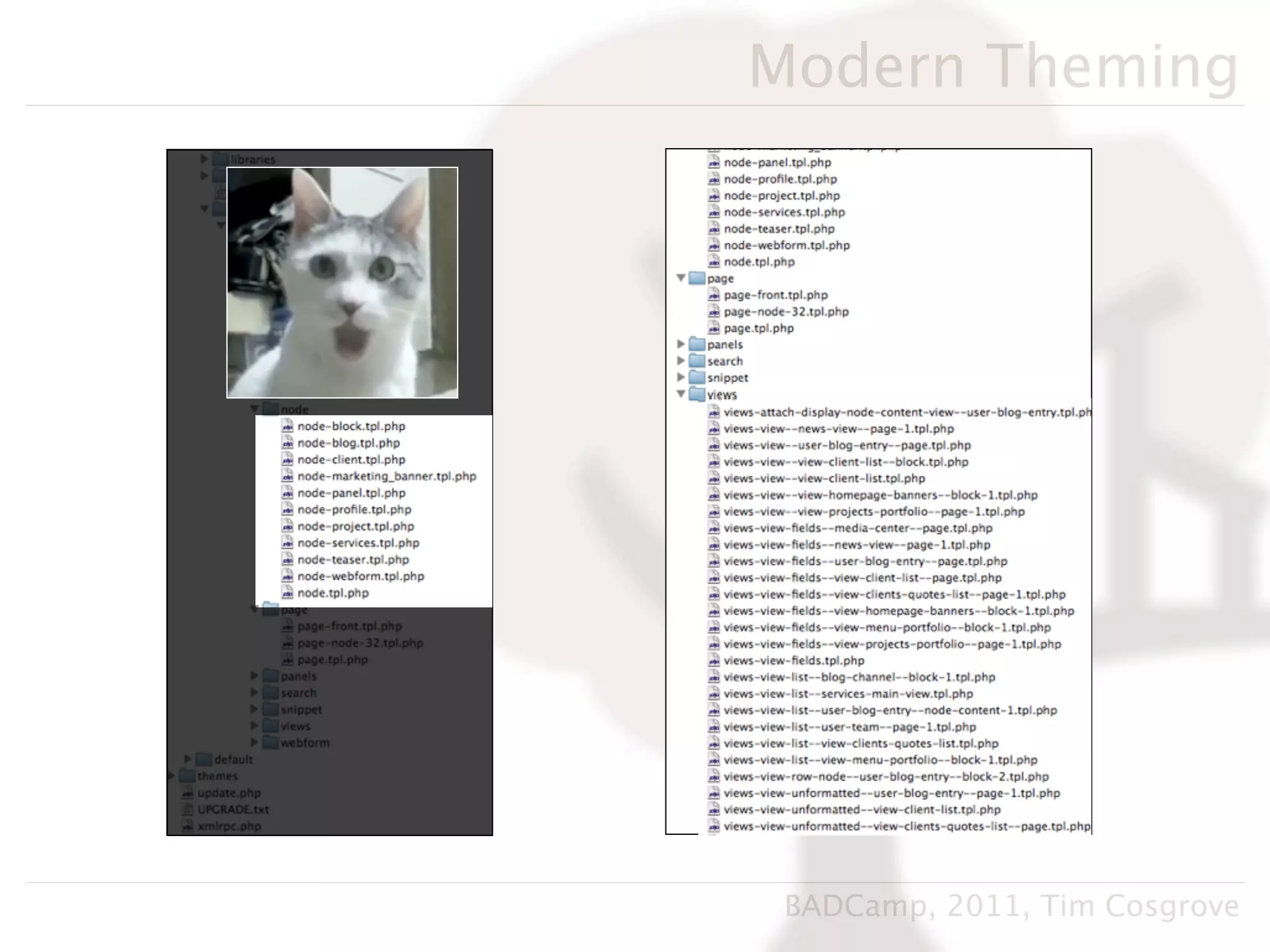 Modern Theming




 BADCamp, 2011, Tim Cosgrove
 