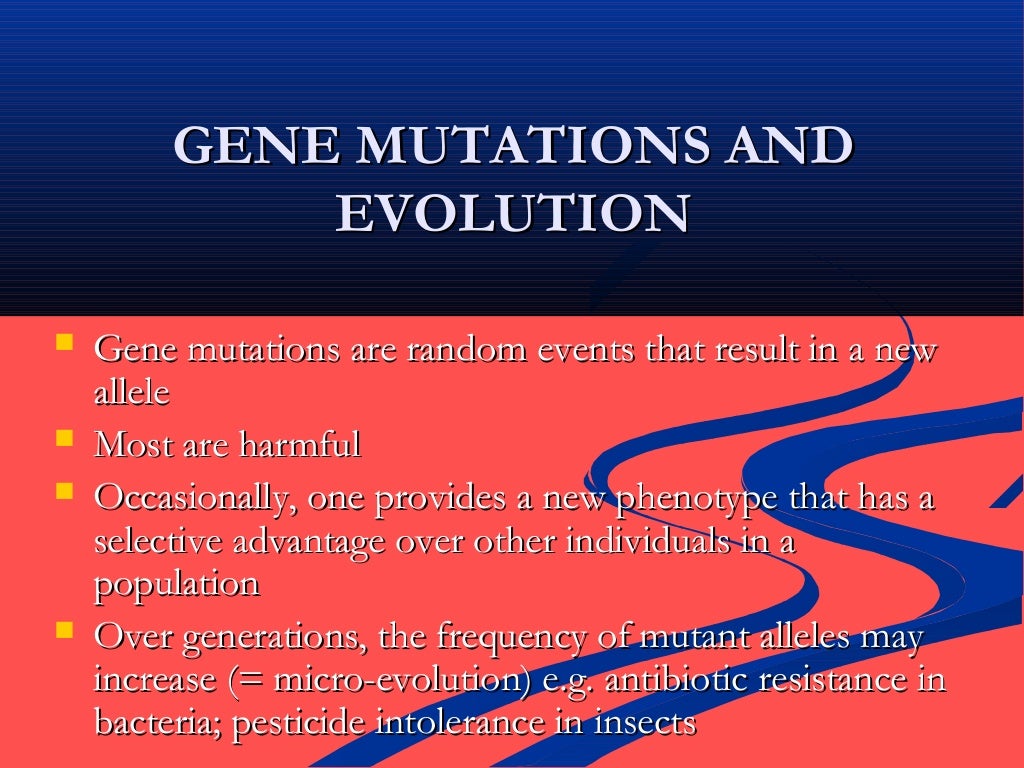 what is the modern theory of evolution called