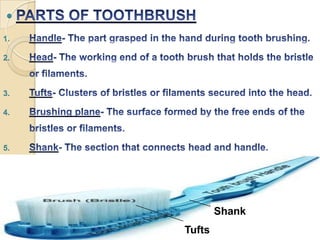 
1.
2.

3.
4.

5.

Shank
Tufts

 