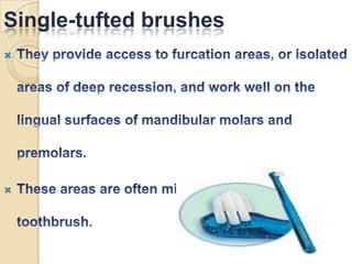 Single-tufted brushes




 
