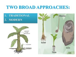 TWO BROAD APPROACHES:
1. TRADITIONAL
2. MODERN
 