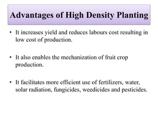 Advantages of High Density Planting
• It increases yield and reduces labours cost resulting in
low cost of production.
• It also enables the mechanization of fruit crop
production.
• It facilitates more efficient use of fertilizers, water,
solar radiation, fungicides, weedicides and pesticides.
 
