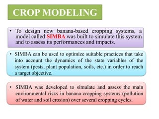 CROP MODELING
• To design new banana-based cropping systems, a
model called SIMBA was built to simulate this system
and to assess its performances and impacts.
• SIMBA can be used to optimize suitable practices that take
into account the dynamics of the state variables of the
system (pests, plant population, soils, etc.) in order to reach
a target objective.
• SIMBA was developed to simulate and assess the main
environmental risks in banana-cropping systems (pollution
of water and soil erosion) over several cropping cycles.
 