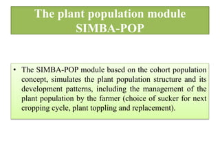 The plant population module
SIMBA-POP
• The SIMBA-POP module based on the cohort population
concept, simulates the plant population structure and its
development patterns, including the management of the
plant population by the farmer (choice of sucker for next
cropping cycle, plant toppling and replacement).
 