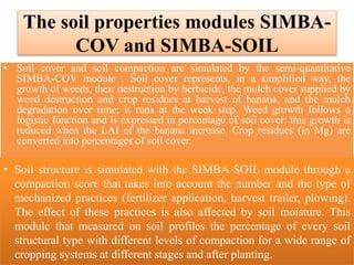 The soil properties modules SIMBA-
COV and SIMBA-SOIL
• Soil cover and soil compaction are simulated by the semi-quantitative
SIMBA-COV module . Soil cover represents, in a simplified way, the
growth of weeds, their destruction by herbicide, the mulch cover supplied by
weed destruction and crop residues at harvest of banana, and the mulch
degradation over time; it runs at the week step. Weed growth follows a
logistic function and is expressed in percentage of soil cover; this growth is
reduced when the LAI of the banana increase. Crop residues (in Mg) are
converted into percentages of soil cover.
• Soil structure is simulated with the SIMBA-SOIL module through a
compaction score that takes into account the number and the type of
mechanized practices (fertilizer application, harvest trailer, plowing).
The effect of these practices is also affected by soil moisture. This
module that measured on soil profiles the percentage of every soil
structural type with different levels of compaction for a wide range of
cropping systems at different stages and after planting.
 