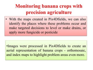 Monitoring banana crops with
precision agriculture
• With the maps created in Pix4Dfields, we can also
identify the places where these problems occur and
make targeted decisions to level or make drains, or
apply more fungicide or pesticide
•Images were processed in Pix4Dfields to create an
aerial representation of banana crops - orthomosaic,
and index maps to highlight problem areas even more.
 