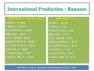 International Production : Bananas
PRODUCTION (MT)
INDIA : 31504
CHINA : 11513
INDONESIA : 8182
BRAZIL : 6637
ECUADOR : 6023
PHILLIPINES : 5955
GUATEMALA : 4476
ANGOLA : 4115
TANZANIA : 3419
COSTA RICA : 2528
SHARE (%)
INDIA : 26.29
CHINA : 9.61
INDONESIA : 6.83
BRAZIL : 5.54
ECUADOR : 5.03
PHILLIPINES : 4.97
GUATEMALA : 3.74
ANGOLA : 3.43
TANZANIA : 2.85
COSTA RICA : 2.11
SOURCE: Food & Agricultural Organisation (FAO), 2020
 