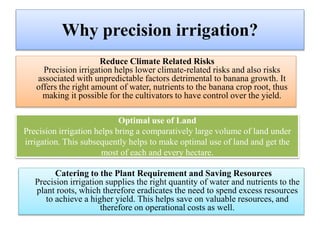 Why precision irrigation?
Reduce Climate Related Risks
Precision irrigation helps lower climate-related risks and also risks
associated with unpredictable factors detrimental to banana growth. It
offers the right amount of water, nutrients to the banana crop root, thus
making it possible for the cultivators to have control over the yield.
Catering to the Plant Requirement and Saving Resources
Precision irrigation supplies the right quantity of water and nutrients to the
plant roots, which therefore eradicates the need to spend excess resources
to achieve a higher yield. This helps save on valuable resources, and
therefore on operational costs as well.
Optimal use of Land
Precision irrigation helps bring a comparatively large volume of land under
irrigation. This subsequently helps to make optimal use of land and get the
most of each and every hectare.
 