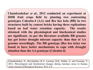 Chandrashekar et al., 2012 conducted an experiment at
IIHR fruit crops field by planting two contrasting
genotypes Calcutta-4 (AA) and Bee hee kela (BB) in two
structures built by cement bricks having three replications
based on leaf water retention capacity. The results
obtained with the physiological and biochemical studies
are significant. As per the literature available BB genome
has got better drought tolerant capacity than that of AA
genome accordingly. The BB genotype (Bee hee kela) was
found to have better mechanisms to cope with drought
situation than the AA genotype (Calcutta-4)
Chandrashekar, N., Ravishankar, K.V., Laxman, R.H., Rekha, A. and Swarupa, V.
2012. Physiological and biochemical changes during moisture stress in banana.
Asian Journal of Biological Sciences, 7(1): 1-4
 