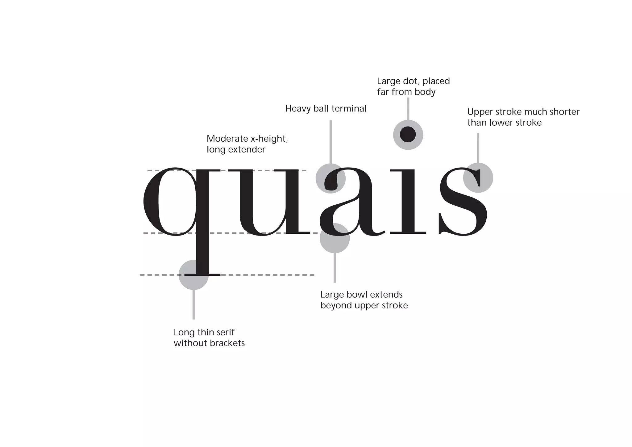 Large dot, placed
far from body

quais
Heavy ball terminal

Moderate x-height,
long extender

Large bowl extends
beyond upper stroke
Long thin serif
without brackets

Upper stroke much shorter
than lower stroke

 
