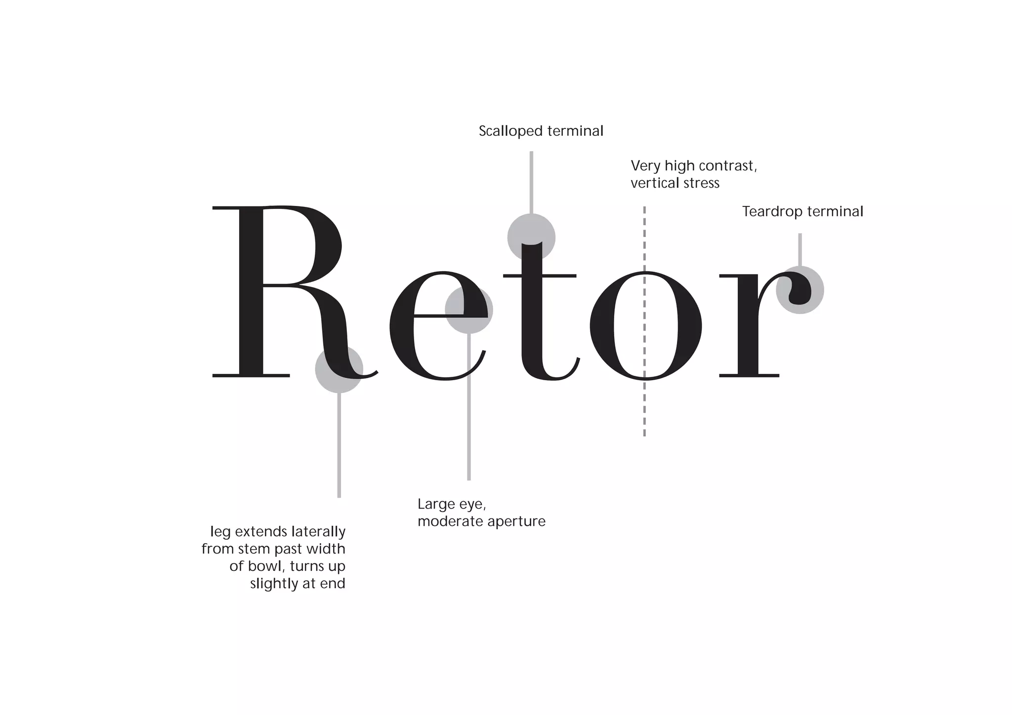Scalloped terminal

Retor
Very high contrast,
vertical stress

Teardrop terminal

leg extends laterally
from stem past width
of bowl, turns up
slightly at end

Large eye,
moderate aperture

 