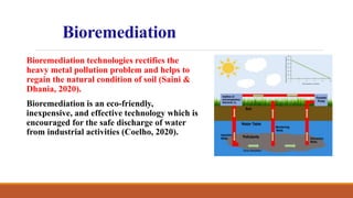 Bioremediation
Bioremediation technologies rectifies the
heavy metal pollution problem and helps to
regain the natural condition of soil (Saini &
Dhania, 2020).
Bioremediation is an eco-friendly,
inexpensive, and effective technology which is
encouraged for the safe discharge of water
from industrial activities (Coelho, 2020).
 