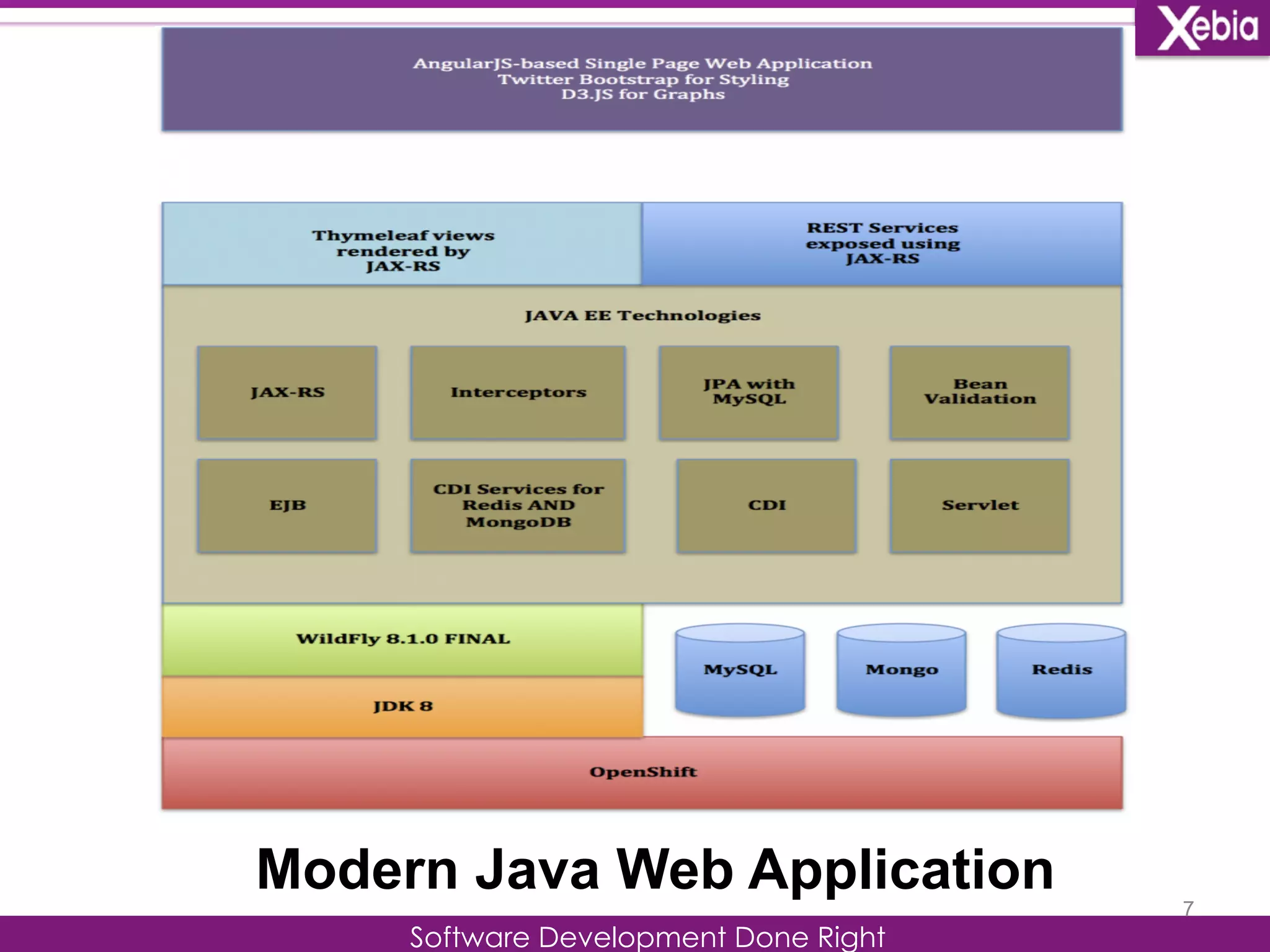7 Modern Java Web Application 
Software Development Done Right 
 
