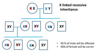 Modes of autosomal and sex linked inheritance | PDF