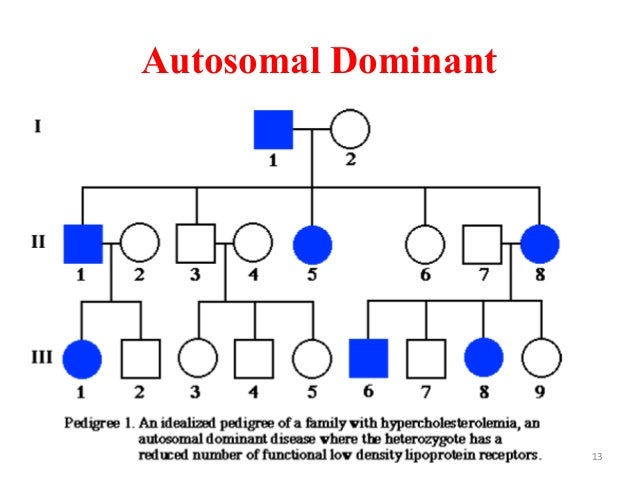 In Autosomal Dominant Inheritance Jsp Detid
