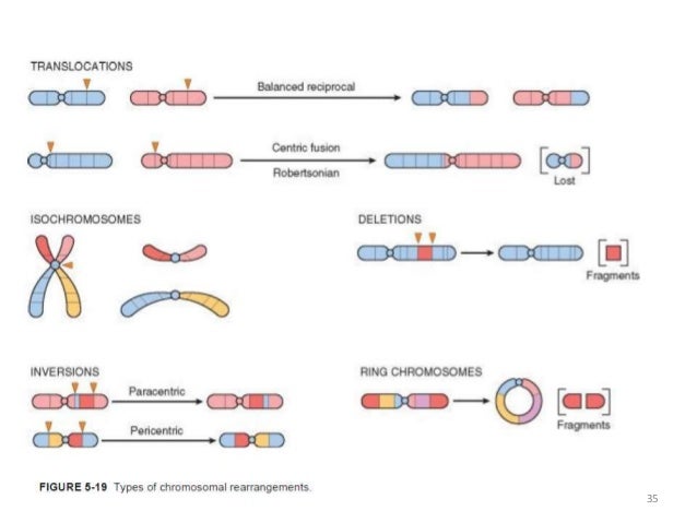 Modes of inheritance