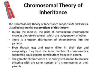 Modes of inheritance of Genes (HMG).pptx