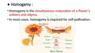 Homogamy Examples Modes of Pollination.pptx plant Breeding | PPTX