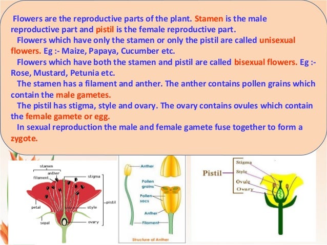 modes of reproduction modes of reproduction
