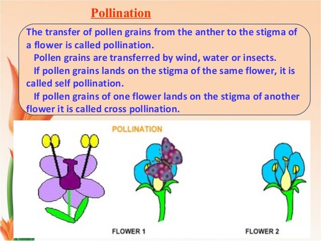 modes of reproduction modes of reproduction
