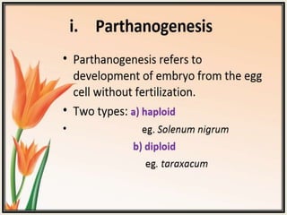 Modes of reproduction and apomixis lecture- Plant breeding and genetics ...