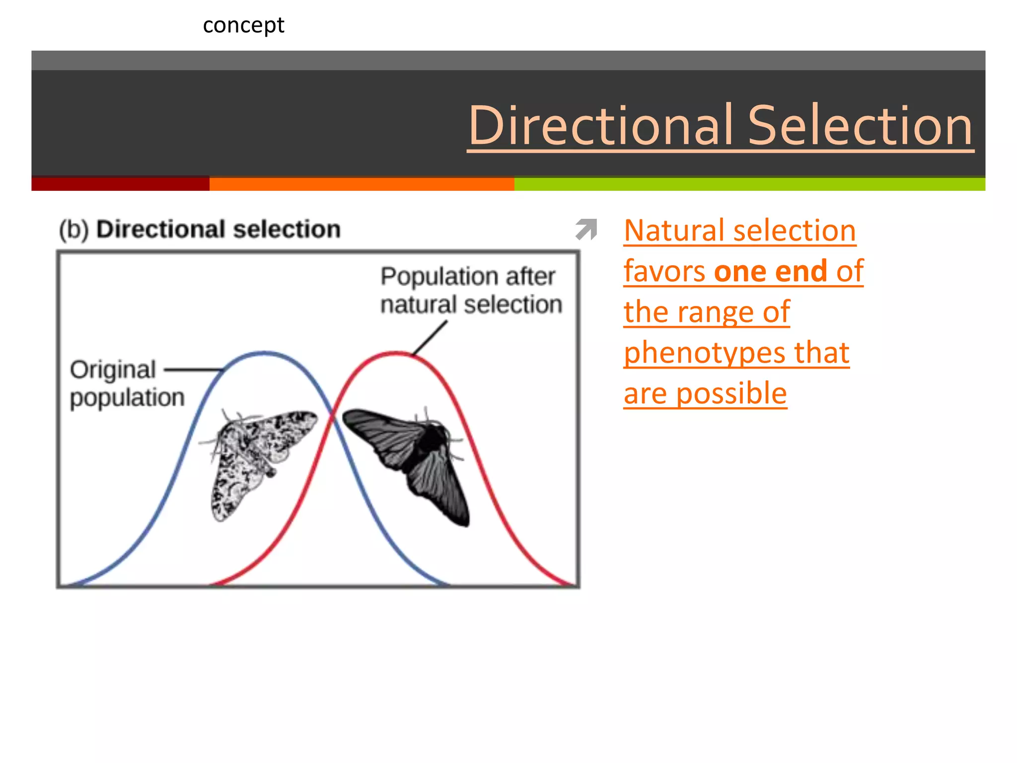 Directional Selection
 Natural selection
favors one end of
the range of
phenotypes that
are possible
concept
 