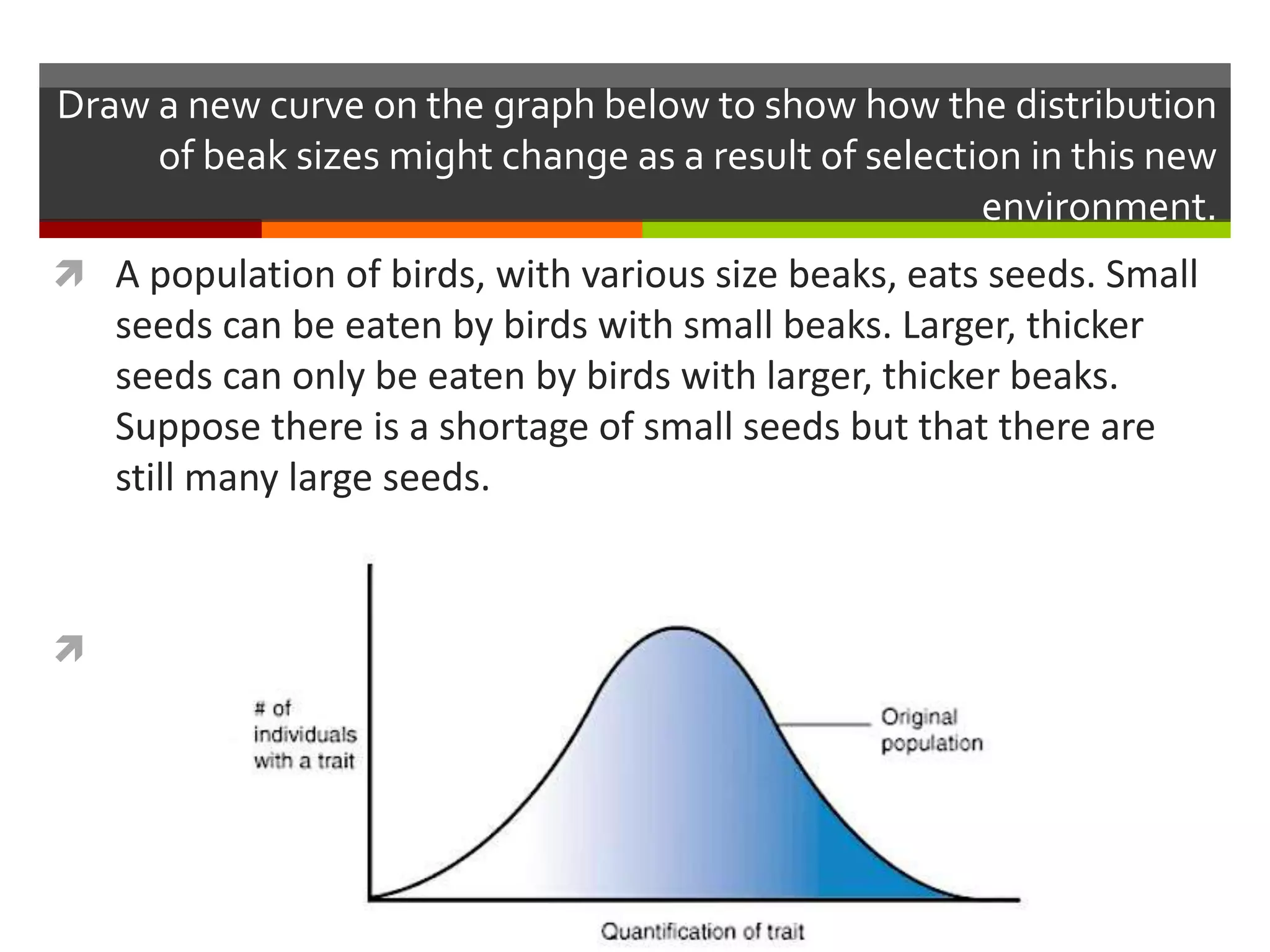 Draw a new curve on the graph below to show how the distribution
of beak sizes might change as a result of selection in this new
environment.
 A population of birds, with various size beaks, eats seeds. Small
seeds can be eaten by birds with small beaks. Larger, thicker
seeds can only be eaten by birds with larger, thicker beaks.
Suppose there is a shortage of small seeds but that there are
still many large seeds.

 