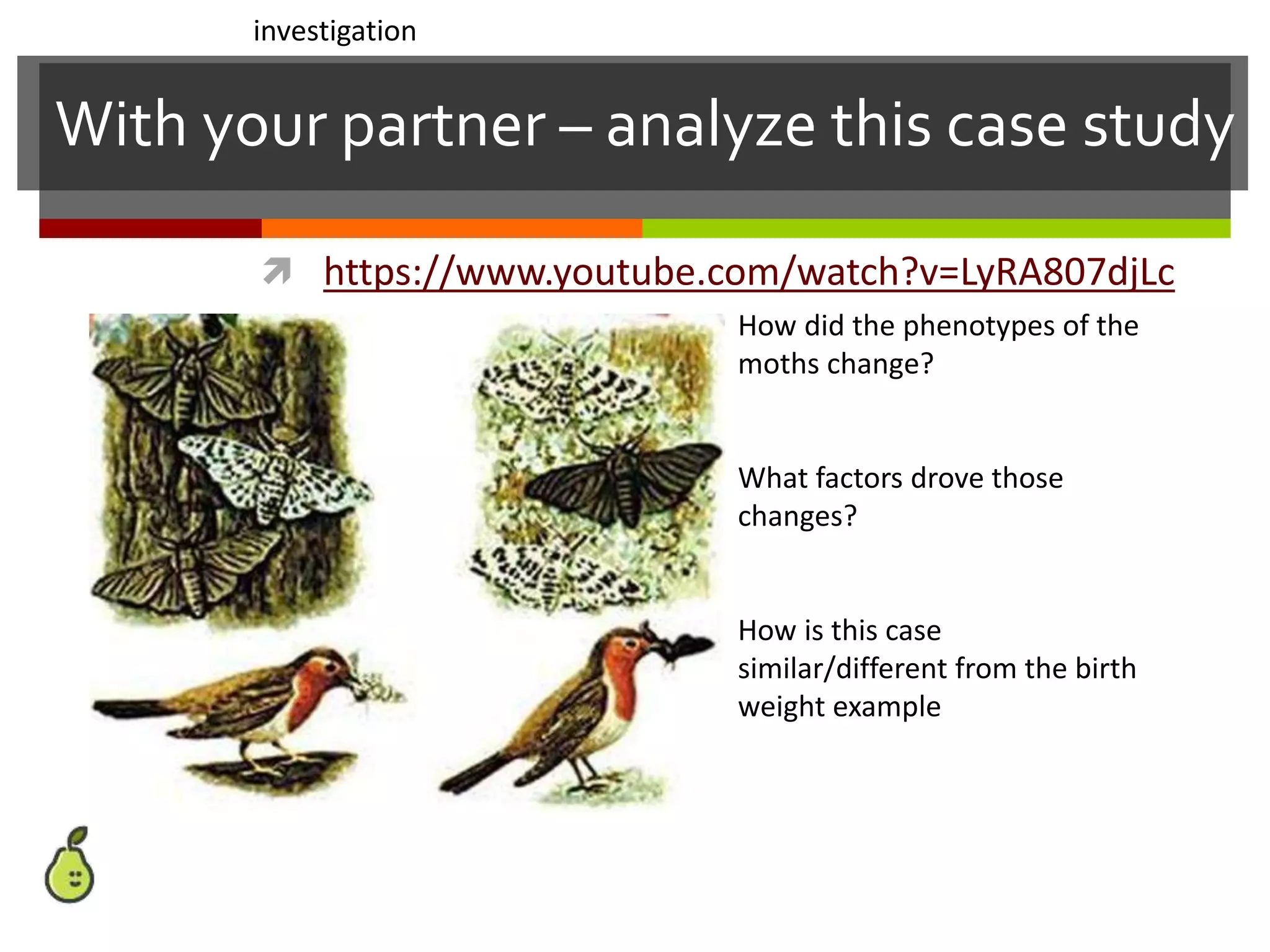With your partner – analyze this case study
 https://www.youtube.com/watch?v=LyRA807djLc
How did the phenotypes of the
moths change?
What factors drove those
changes?
How is this case
similar/different from the birth
weight example
investigation
 