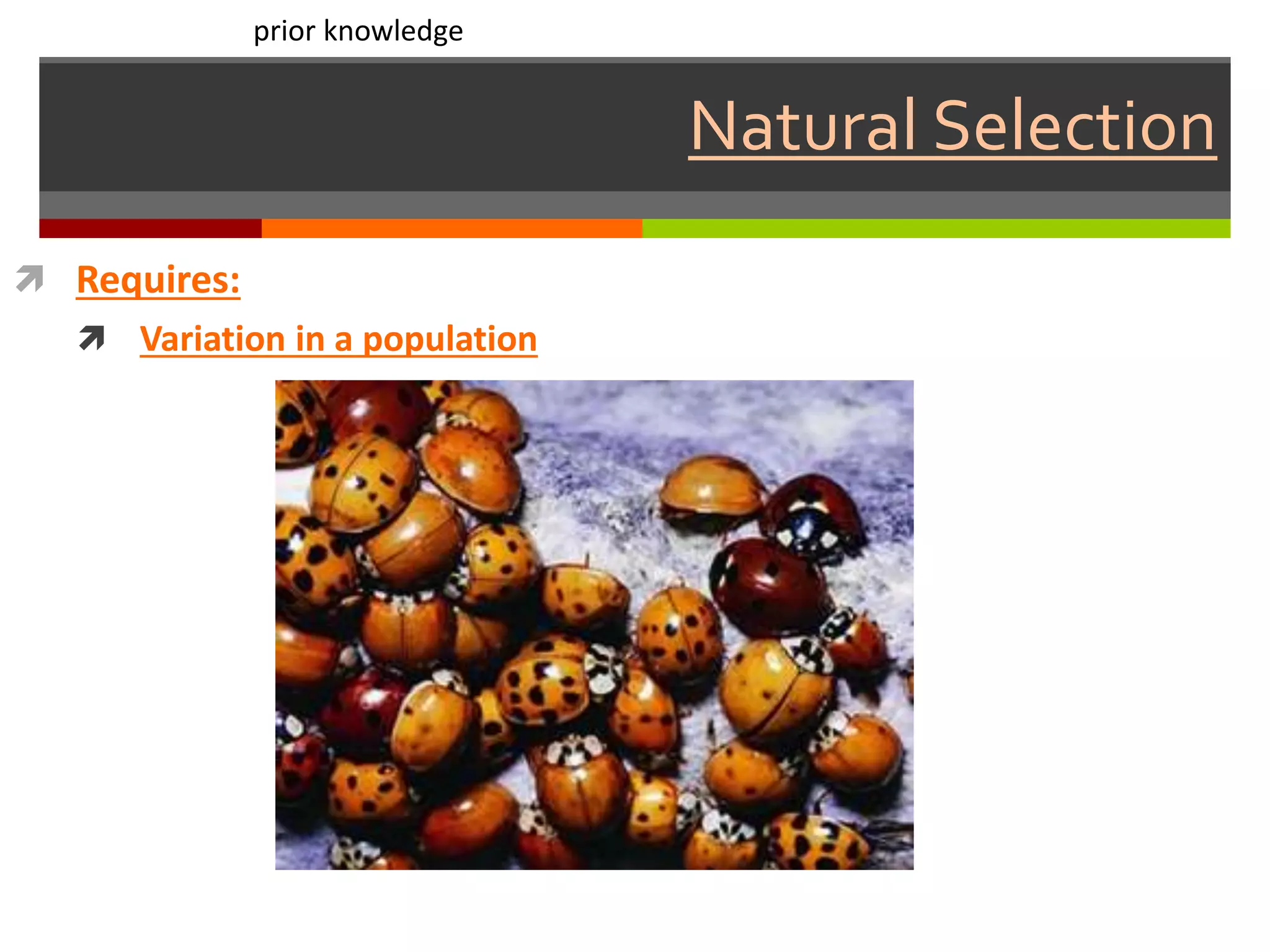 Natural Selection
 Requires:
 Variation in a population
prior knowledge
 