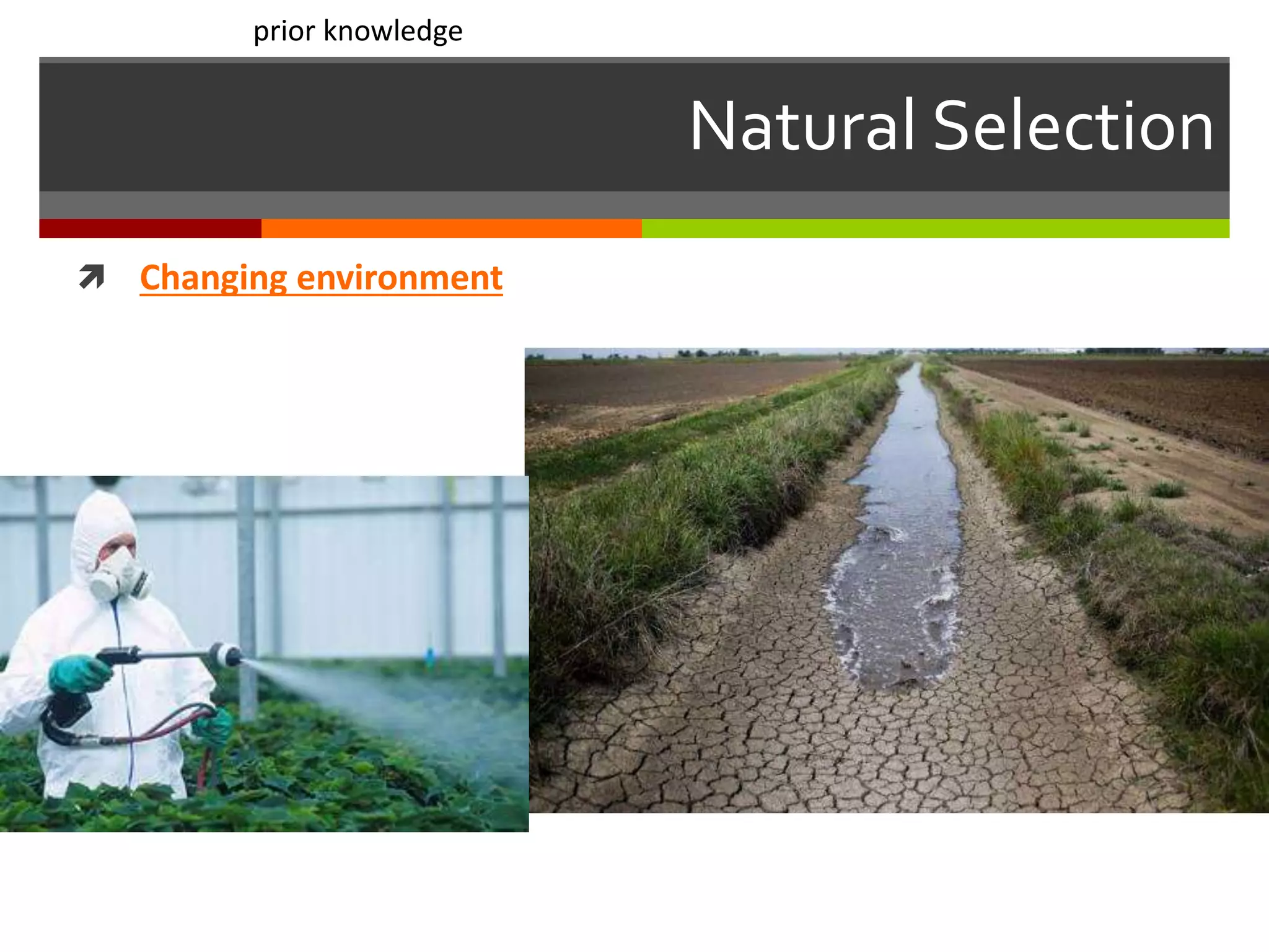 Natural Selection
 Changing environment
prior knowledge
 