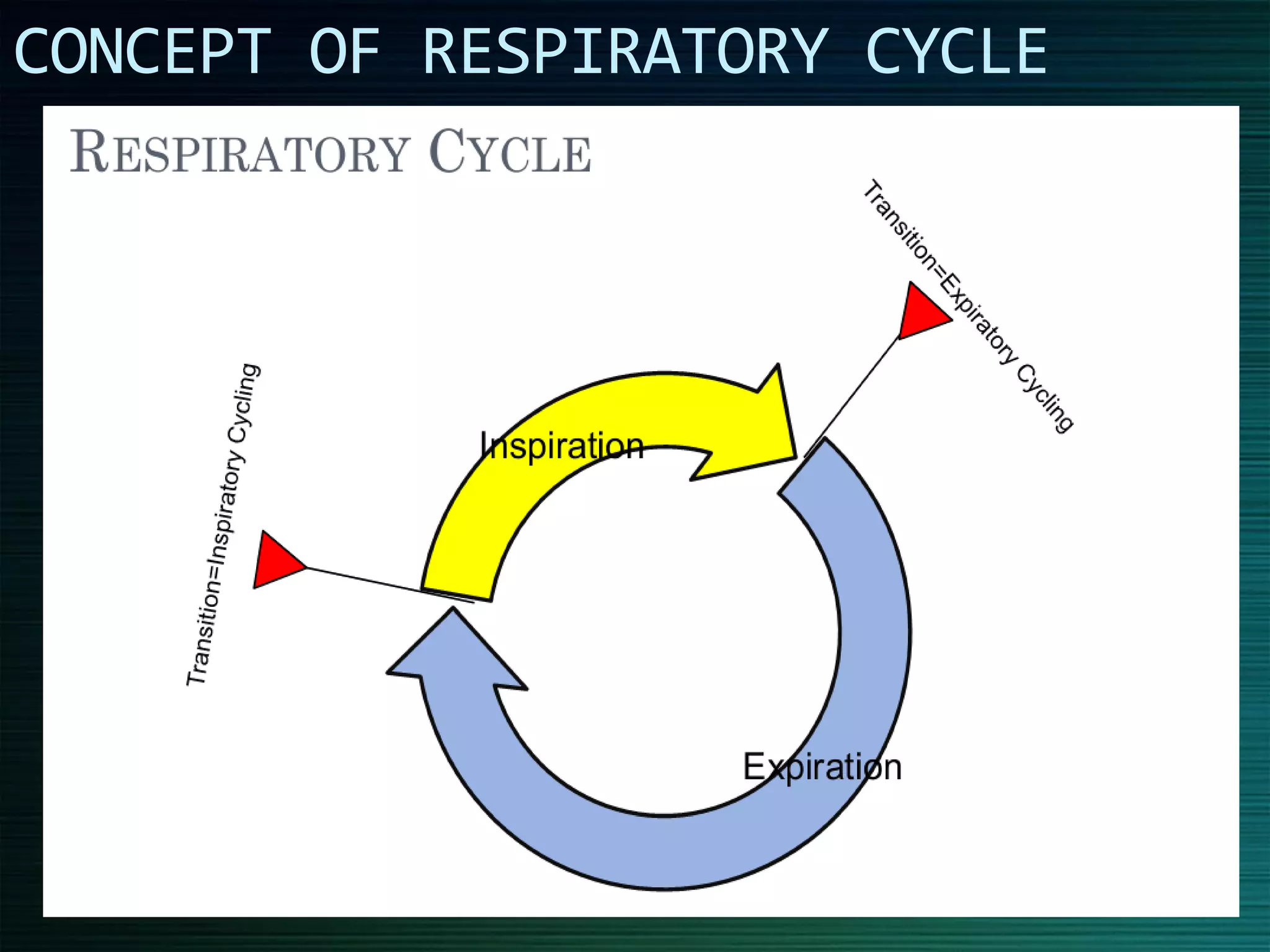 CONCEPT OF RESPIRATORY CYCLE
 