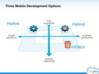 Three Mobile Development Options

 