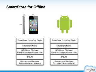 SmartStore for Offline

 